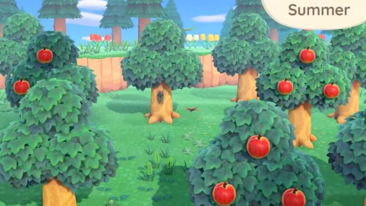 Predicting 5 Summer Updates for Animal Crossing: New Horizons